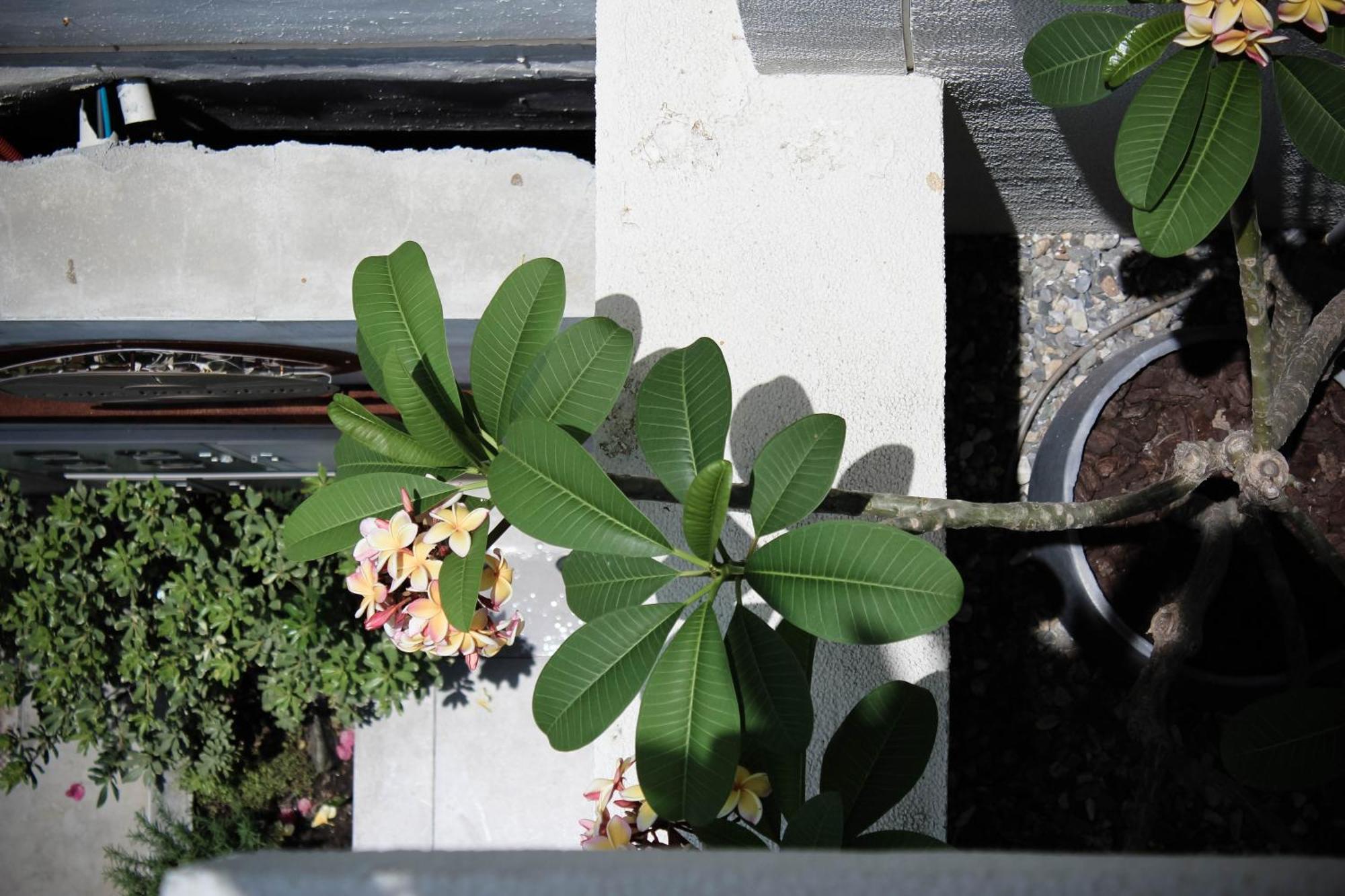 Soli Hospitale 宿里旅行舍 Hualien Buitenkant foto